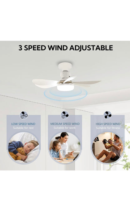 ceiling fan light