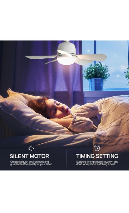 ceiling fan light