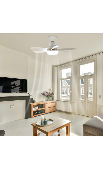 ceiling fan light